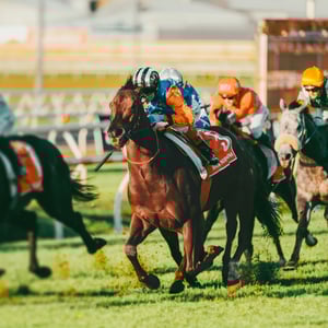 Doomben 10k Doomben 10k