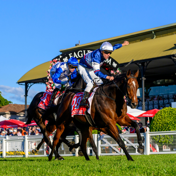 SS26_Hero Image_04 Derby_600x600_V2 (1)