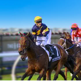 SS26_Hero Image_06 Stradbroke_600x600