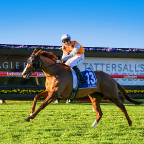 SS26_Hero Image_07 Tattersalls_600x600