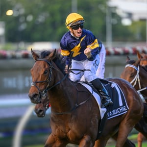 Stradbroke Stradbroke