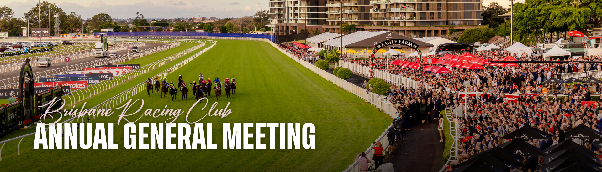 AGM Web Banner (1)