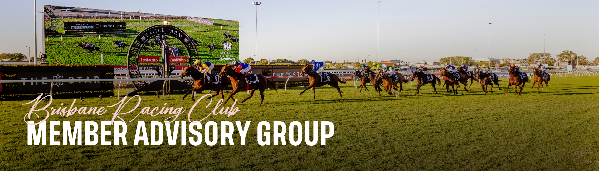 Brisbane Racing Club Advisory Group Landing Page